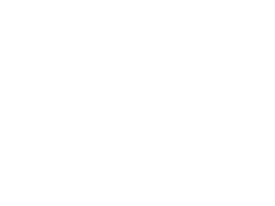 SSL Secure Connection